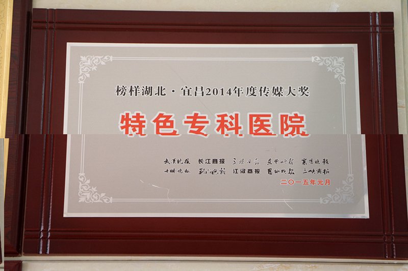 榜样湖北宜昌2014年度传媒大奖特色专科医院